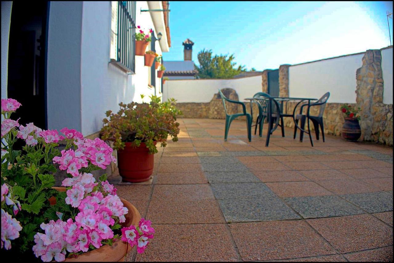 Chalet Con Piscina Privada Conil De La Frontera Εξωτερικό φωτογραφία